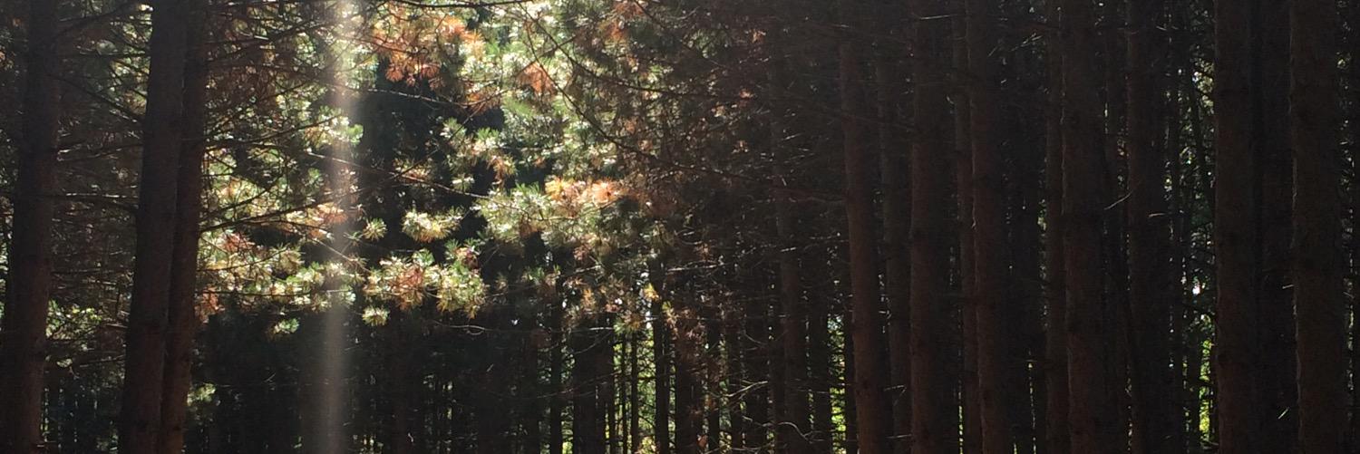 Mama_Runna's profile banner image