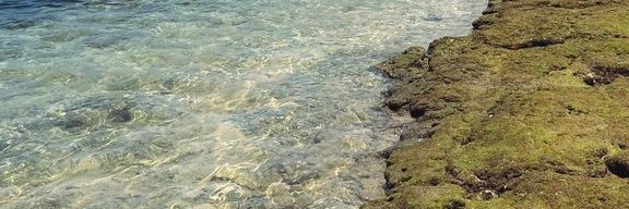 ar. banner