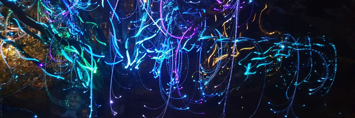 XenTrader's profile banner image