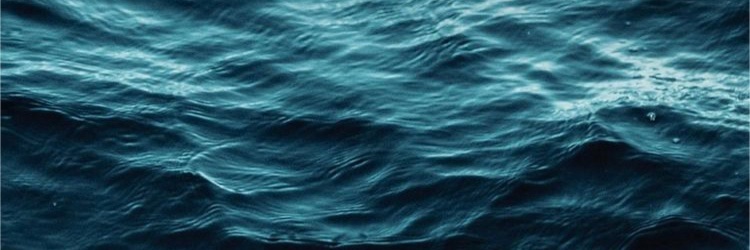 SiegridShoots's profile banner image