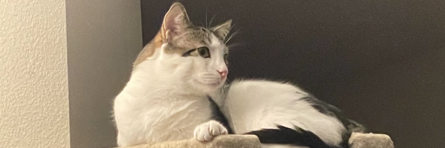 allforjuan's profile banner image