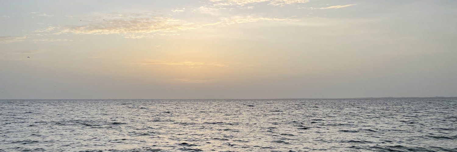 Xavier Gonzalez banner