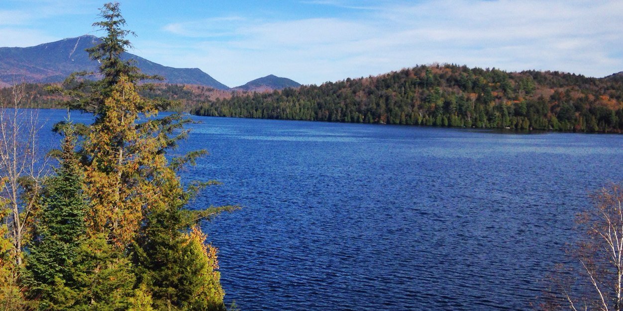 Christopher Nulty banner