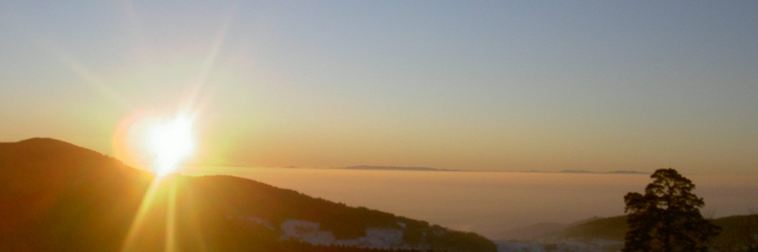 Diane Dunkley banner