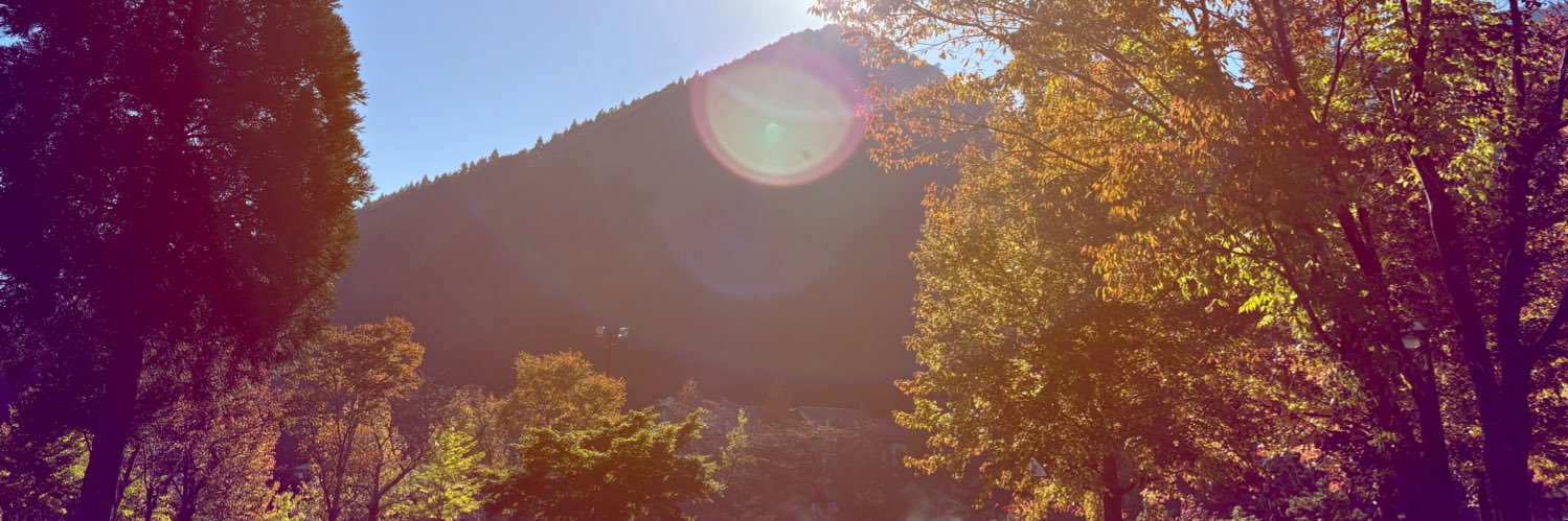 せり🌱 ͛.* banner