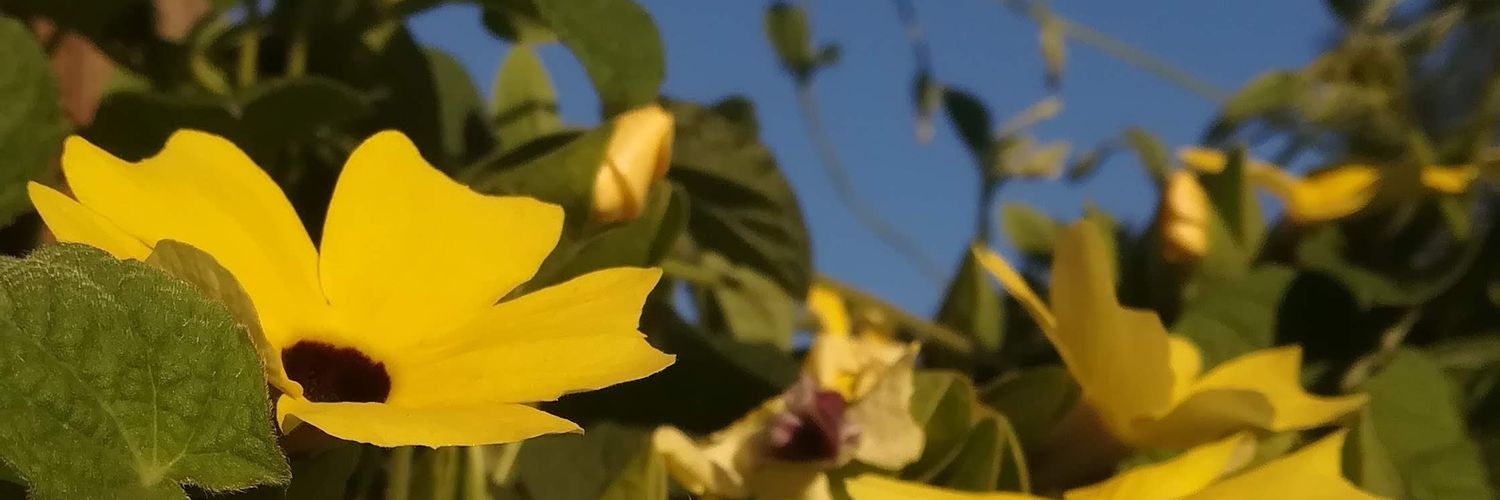 canderodriguezl's profile banner image