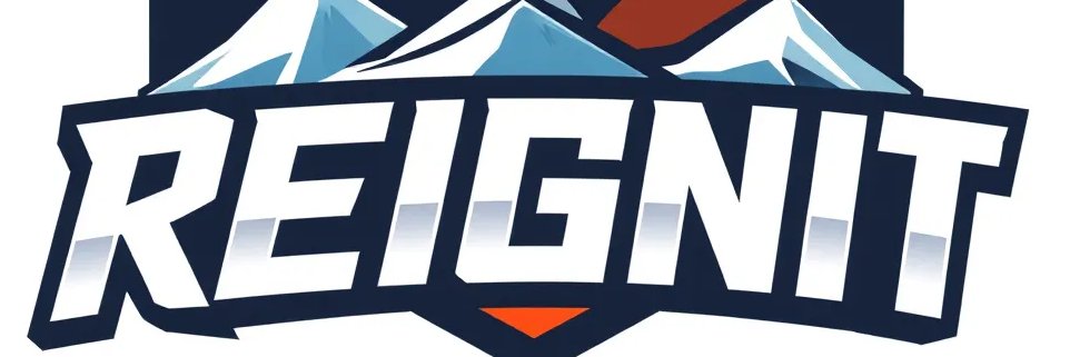 Team REIGNIT banner