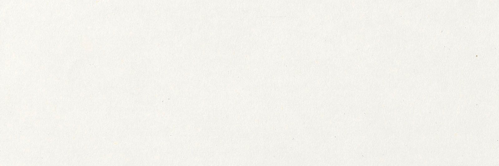 ニッタ's banner