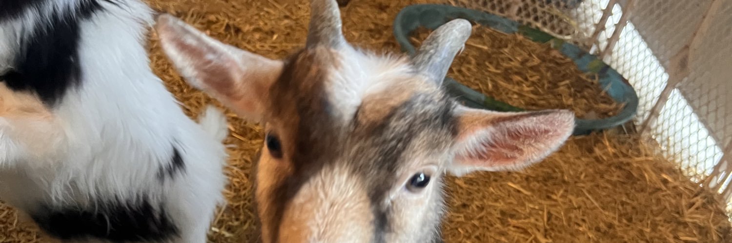 jadentaylarlee's profile banner image