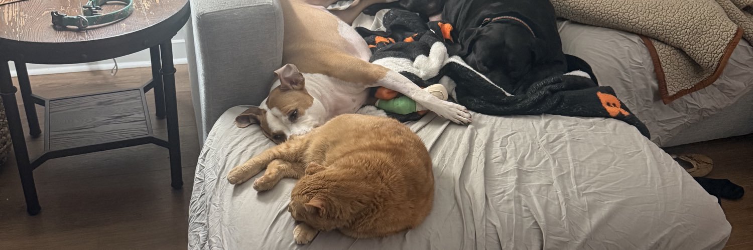 optimistic fan banner