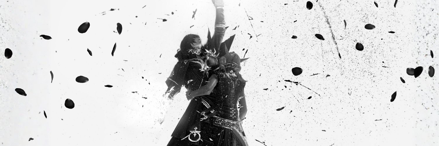 ✦ banner