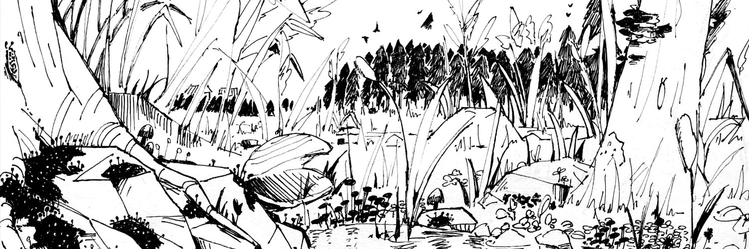 lanceletfish's profile banner image