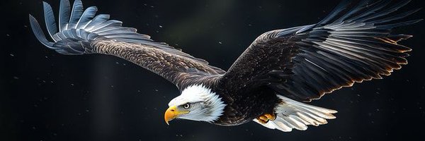 MelihUlukan Profile Banner
