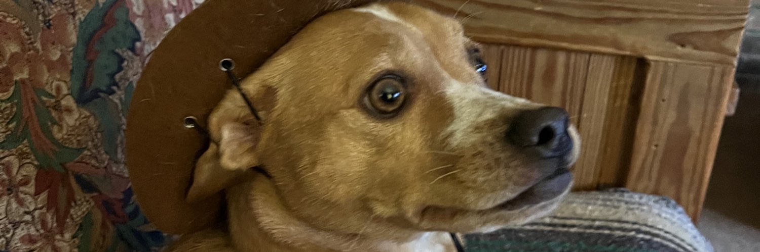 Abby banner
