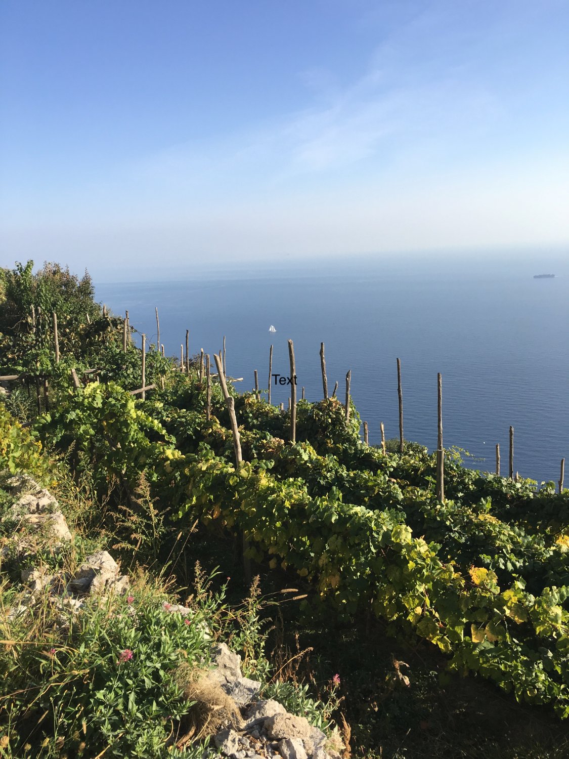 Robert Camuto meets... wine, food & life in Europe banner