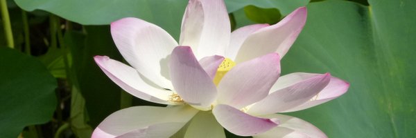 kakitutei Profile Banner