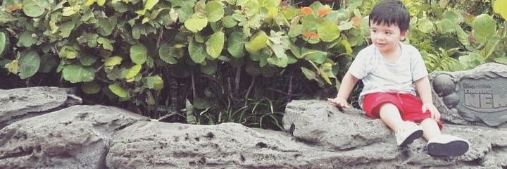cecideris's profile banner image