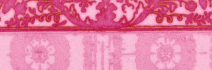 molichi banner