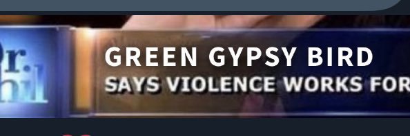 GreenGypsyBird1's profile banner image