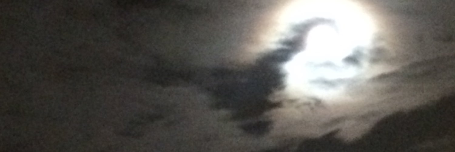 Pscountrygrl's profile banner image