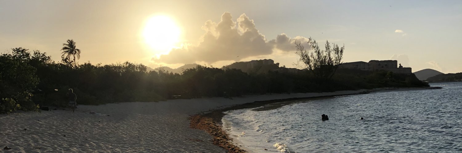 TishLyntonRose's profile banner image