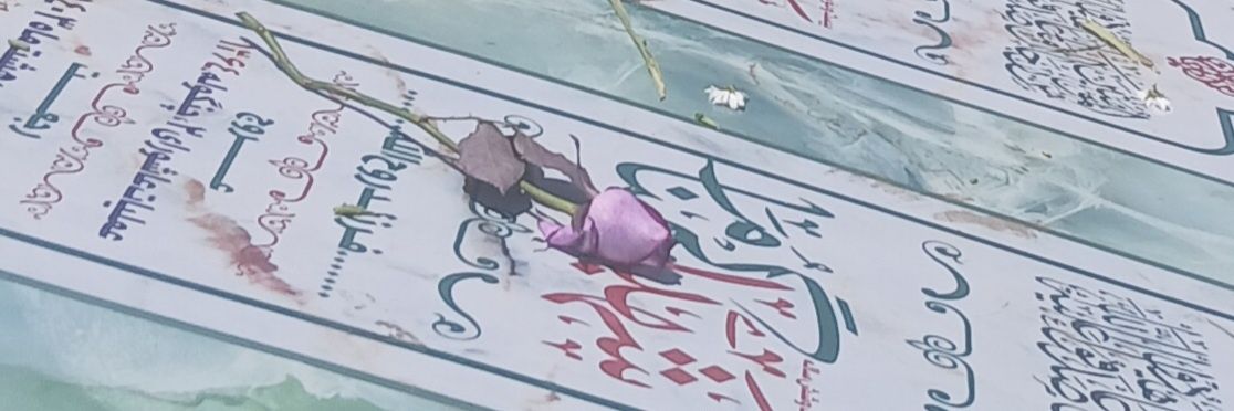 گندم's banner