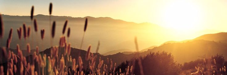 L_DG banner