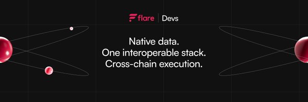 FlareDevHub Profile Banner