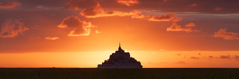 William Maanders 🌿 banner