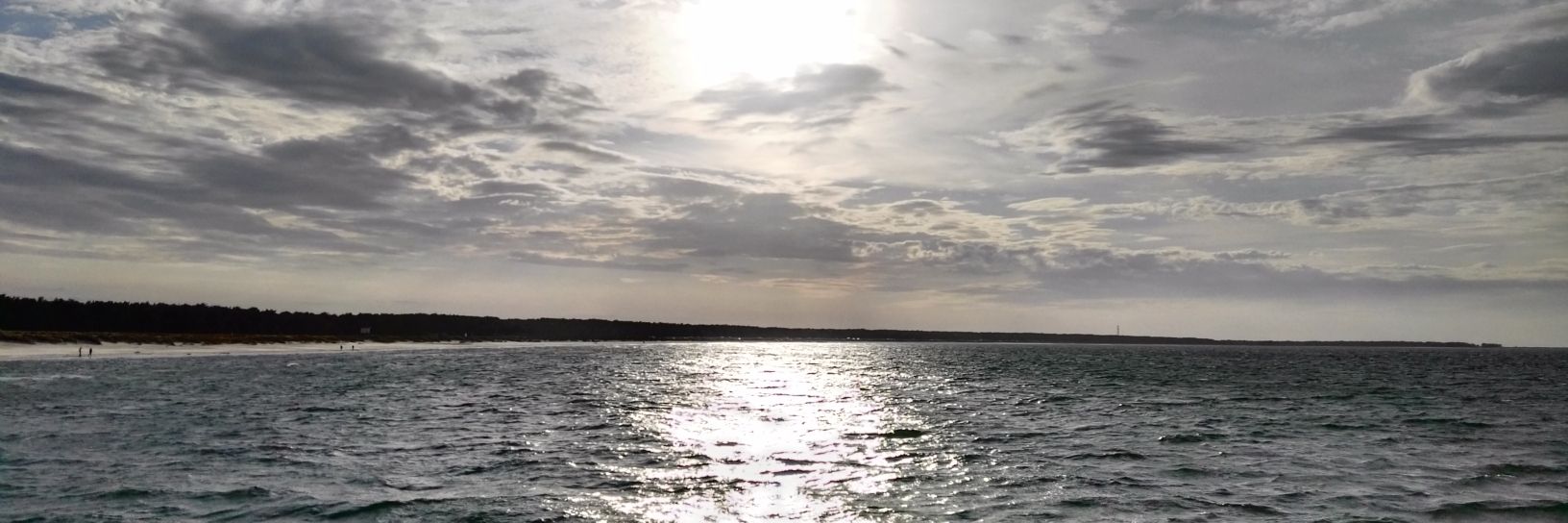 ApricotStoneDE's profile banner image