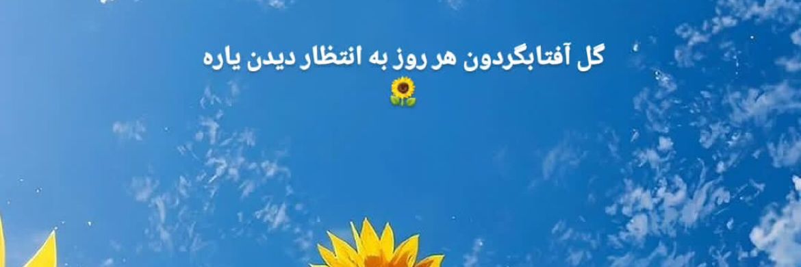 kazem_hamze's profile banner image