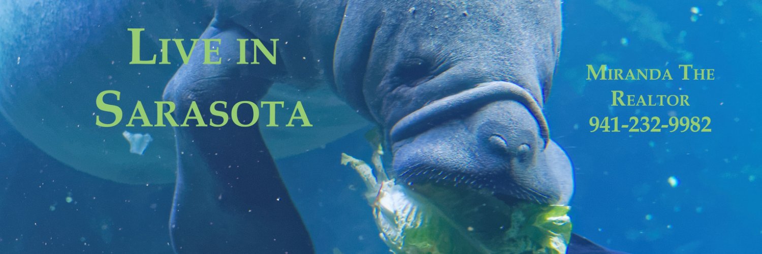 MirTheRealtor's profile banner image