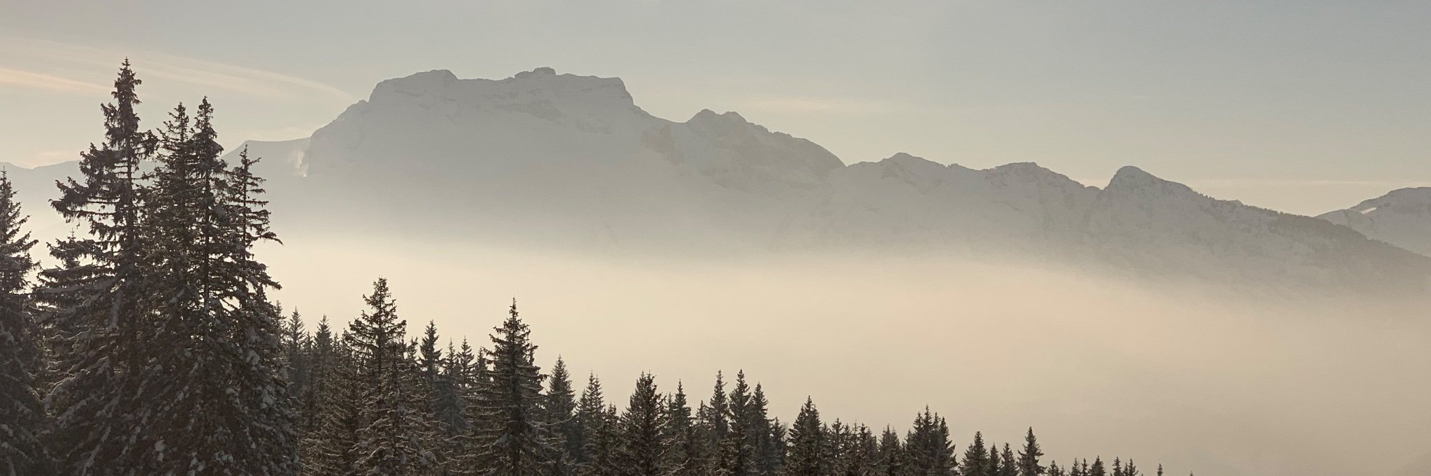 Benoît Férand banner