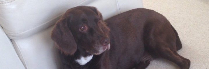 1979emzy's profile banner image