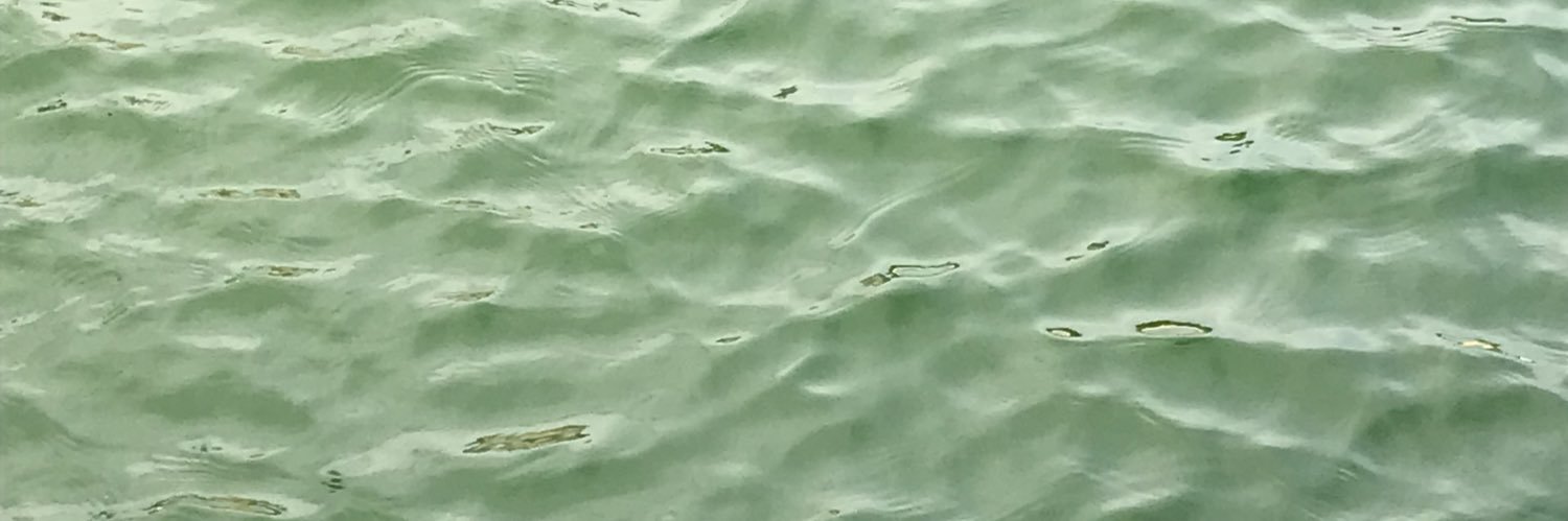 VishRule_'s profile banner image