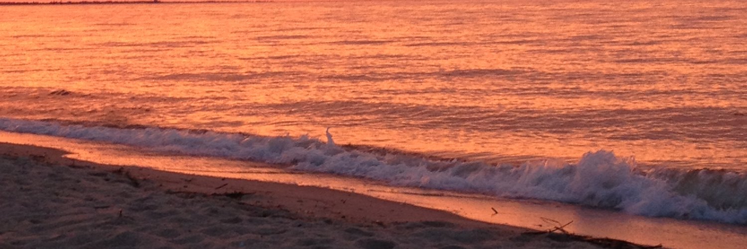 Patricia Talorico banner