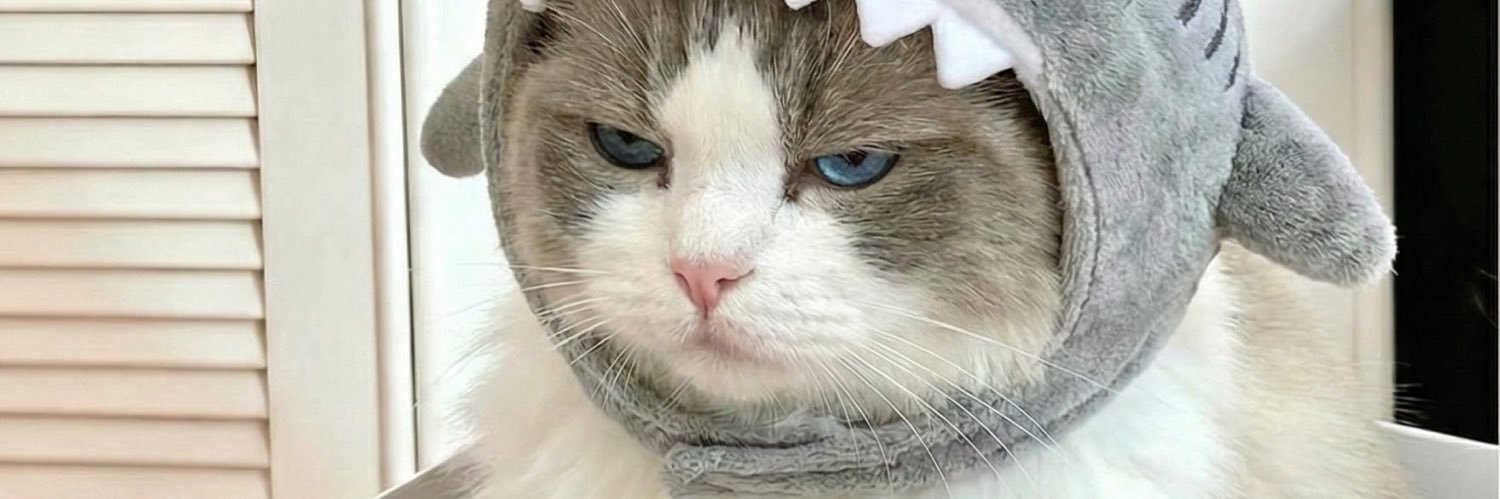 SHIV RADFEM INCEL banner