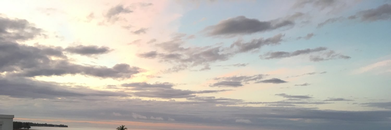 jGersonDankIdea's profile banner image