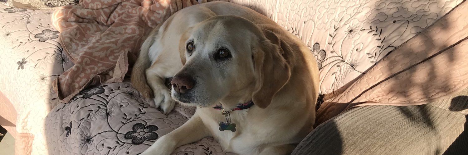 BakeYourNoodle's profile banner image