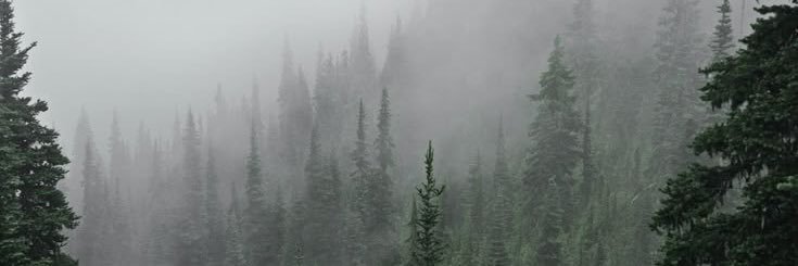 troonsshouldack's profile banner image