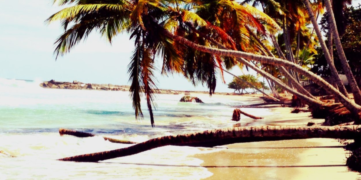 JazIrichuk's profile banner image