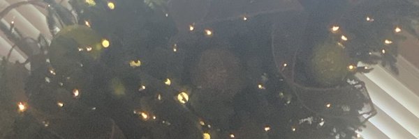 adnildyob Profile Banner