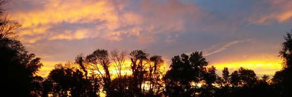 ColtsTubaGuy Profile Banner