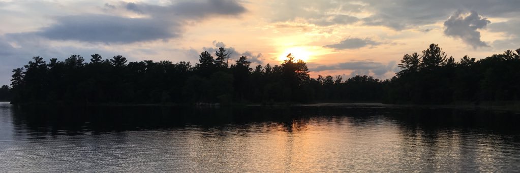 Adelle Atkinson banner