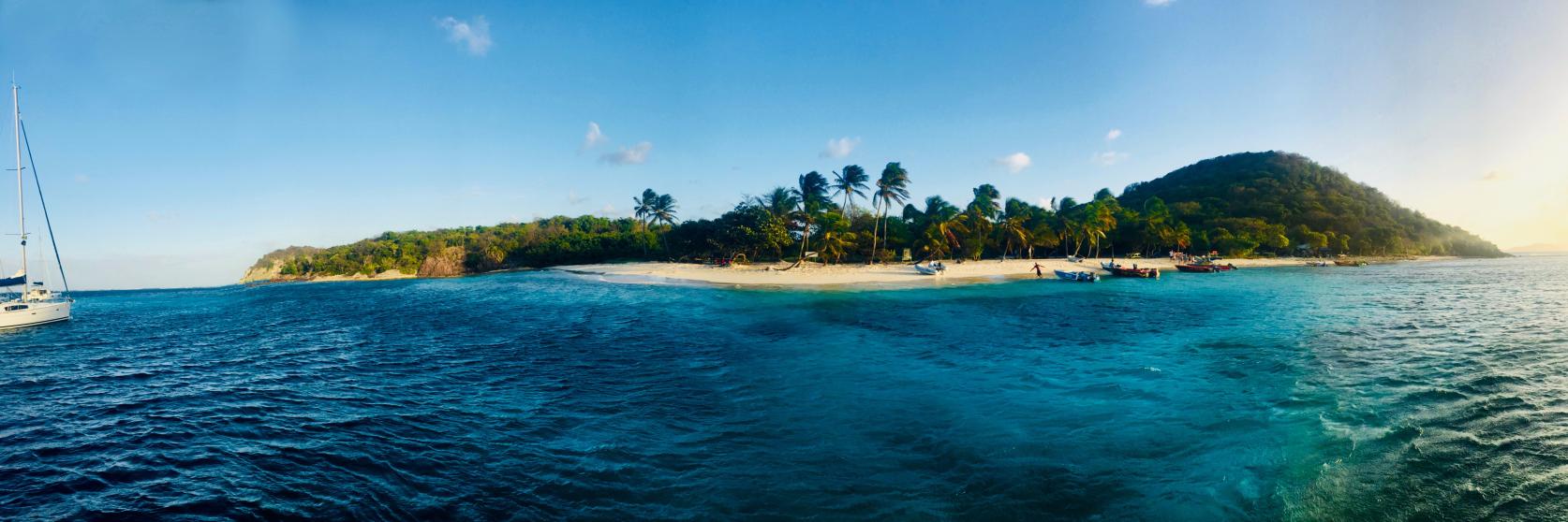 Laura Pfannemüller banner