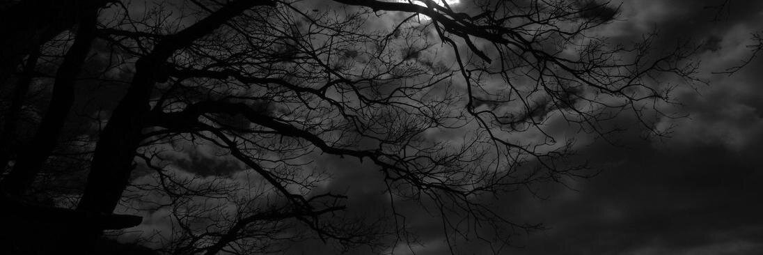 sohay666's profile banner image