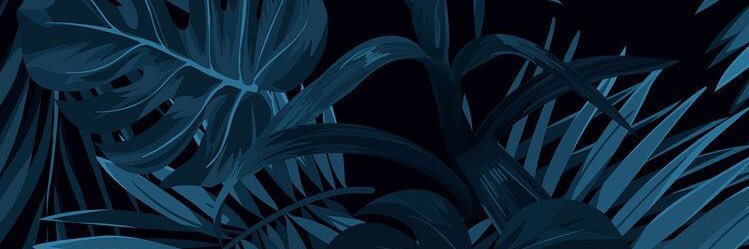 _joshvs's profile banner image
