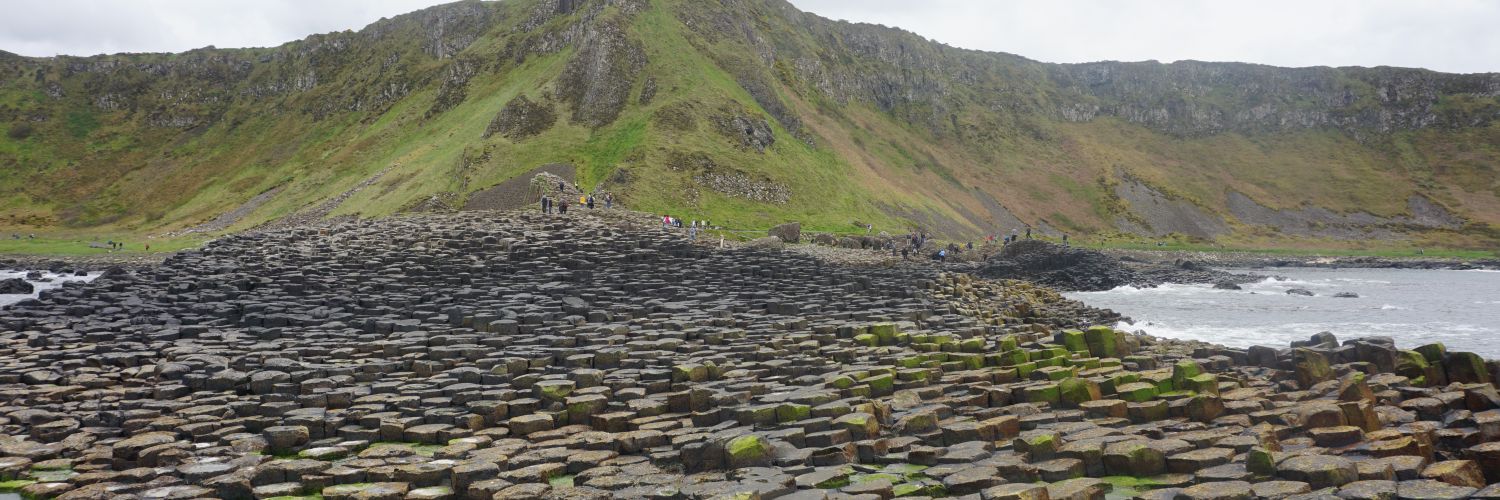 James Whiteman banner