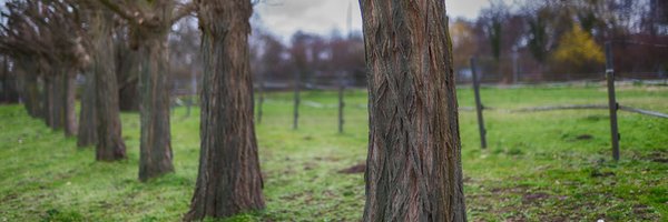 Deschamps Profile Banner
