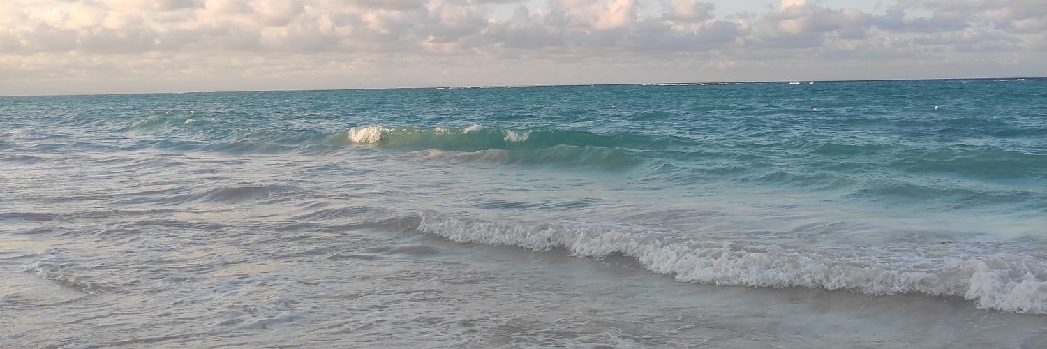 Sofi_Bordoni's profile banner image